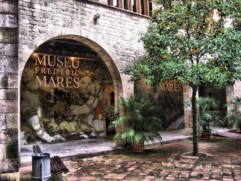 Fotografia di una vetrina del Museu Frederic Mares con un albero sulla destra